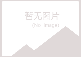 白银平川寒凡金属有限公司